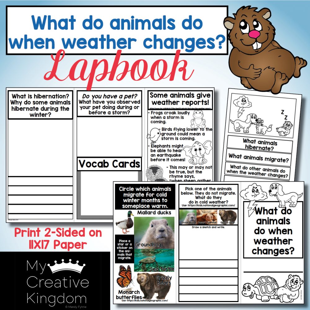 Animals do when Weather Changes Kindergarten Journeys Unit 3 Lesson 12